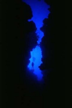 bleu